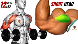 TOP 12 SHORT HEAD BICEPS WORKOUT TO GET WIDE ARMS AT GYM [upl. by Potts]