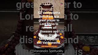 Vaidyanatha ashtakam to cure and heal all diseases Shiva vaidyanatha slokas Spirituality [upl. by Eiknarf]