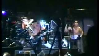 Red Hot Chili Peppers 19960629 Roskilde Festival Roskilde DK AMT 1 [upl. by Airad85]