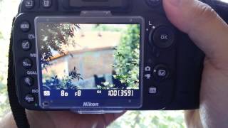 D750 vs D600 vs 70D vs EP5 Autofocus comparation [upl. by Enitsuj]