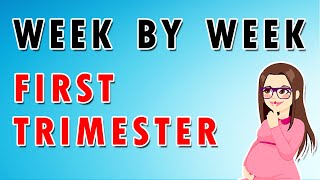 Week by Week First Trimester [upl. by Maunsell]