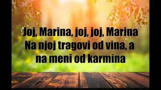 DEVITO  MARINA TekstLyrics [upl. by Ganley]