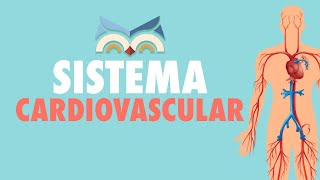 Sistema Cardiovascular  Toda Matéria [upl. by Lehcar]