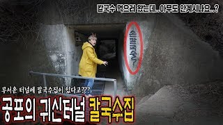 경주에 있다는 지옥의 귀신터널 칼국수집 갔다가 무서움에 먹방 하게되었습니다  허팝 Pass Haunted Tunnel to go to a restaurant [upl. by Tarazi]