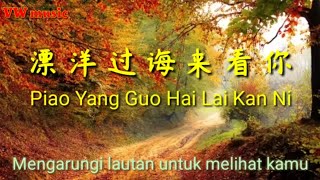 漂洋過海來看你 Piao Yang Guo Hai Lai Kan Ni  Rose Liu  Terjemahan dan Lirik [upl. by Lanae71]