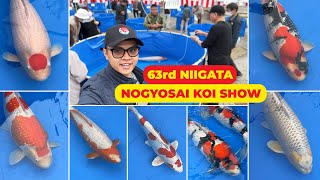 The BEST JAPANESE KOI at 63rd NOGYOSAI KOI SHOW  The BEAUTY of NISHIKIGOI [upl. by Eimas543]