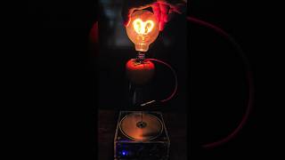 Experiment with fruit and light bulbs [upl. by Kesley]