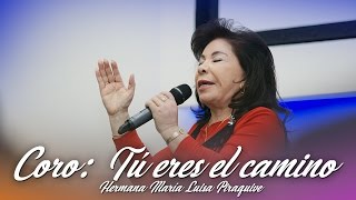 Coro Tu eres el camino Hna María Luisa Piraquive [upl. by Stedt309]