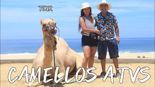 🔴CABO SAN LUCAS 🐫CAMELLOS Y ATVS CACTUS TOURS 🏖️cabo loscabosmexico viajes [upl. by Einnep766]