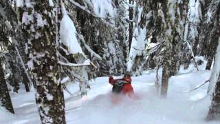 Arbor Snowboards  Arbor At Its Roots Big Mountain Riding [upl. by Isej843]