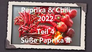 Paprika amp Chili 2022 Teil 4  Süße Paprika II [upl. by Milburr]