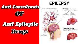 Anti Convulsants or Anti epileptic drugs  Drugs Affecting the central nervous system  Tutor [upl. by Sothena]