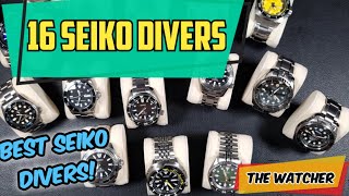 SOTC PART 3  Seiko Divers  The Watcher [upl. by Perlis597]