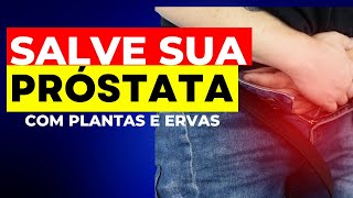 Descubra as Ervas Milagrosas que Salvam sua Próstata  Previna e Reduza Doenças da PRÓSTATA [upl. by Aeduj247]