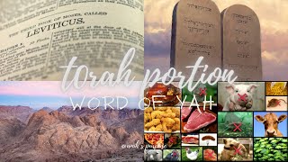 Torah Portion [upl. by Eisset446]