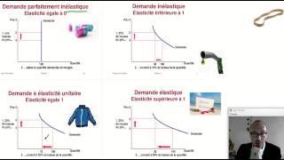 Comprendre les élasticités le cas de lélasticitéprix de la demande ECONOMIE [upl. by Whetstone]