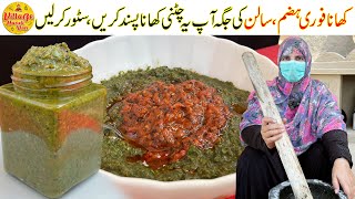 Special Chatkhara Chutney Recipe  Chutney Banane Ka Tarika  Tamatar Chutney  Village Handi Roti [upl. by Zarla421]