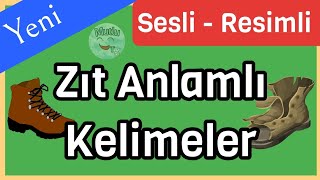 Zıt Anlamlı Kelimeler  Zıt Kelimeler  Zıt Anlamlı Kelimeler 2 Sınıf  1 Sınıf Zıt Kelimeler [upl. by Bernelle268]