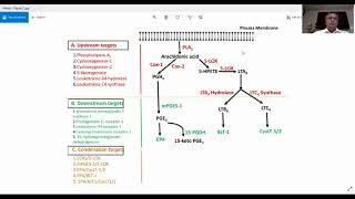 Safer Targets for Development of Antiinflammatory Drugs  Video abstract ID 278514 [upl. by Ivor]