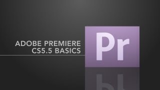 Adobe Premiere Pro Basics [upl. by Airdnua348]