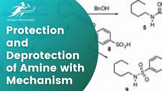 Protection and Deprotection of Amine with Mechanism  Protecting Group  Carbamates  Chemistry [upl. by Aneloaup]