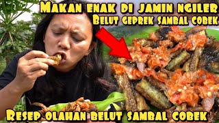 BELUT GEPREK SAMBAL COBEK BIKIN SELERA NAPSU MAKAN BERTAMBAH [upl. by Arther]