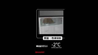 SHARP ｜最推薦的雙門冰箱【夏普大冷凍雙門除菌冰箱】讓美味新鮮保存 [upl. by Stefan]