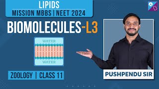 Lipids Class 11 Biology  Biomolecules Concepts L3  NEET 2024 Biology Exam Preparation [upl. by Most108]