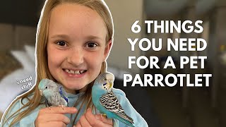 6 Things You Need For a Pet Parrotlet [upl. by Clerc373]