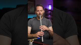 Foggy Dew  OBrien Low D Whistle [upl. by Aram]