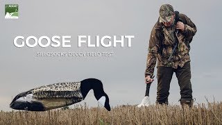 GOOSE FLIGHT  SILLOSOCKS DECOYS FIELD TEST [upl. by Izak85]