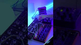 Live Melodic Techno Analog [upl. by Louanna]