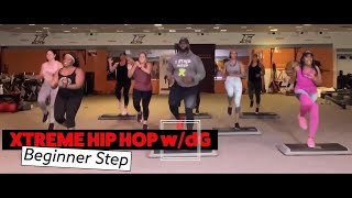 Beginner Step Aerobics Home Workout  Xtreme Hip Hop Step [upl. by Hallee468]