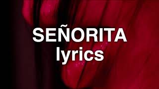 Shawn Mendes Camila Cabello  Señorita Lyrics [upl. by Wahl]