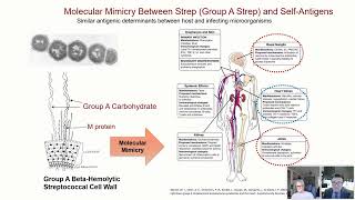 Autoimmune neuropsychiatric disorders The science and case studies [upl. by Lydia800]