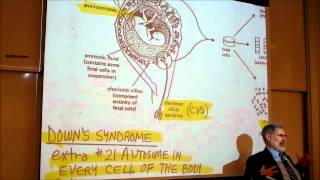 BIOLOGY CHROMOSOME ANOMALIES amp GENETIC DISEASES by Professor Finkwmv [upl. by Nylorahs]