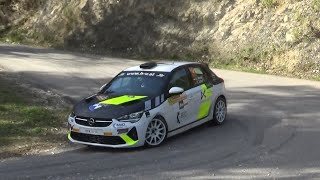 46 LASERHERO Lavanttal Rallye 2024 Gerd KoschierThomas Schopf [upl. by Felder]