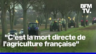 Accord UEMercosur des tracteurs en route vers le Parlement européen [upl. by Neladgam]