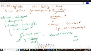 Cell Biology Class 4  2023 [upl. by Aneel]