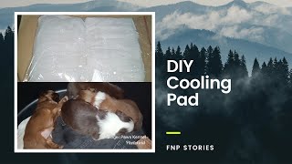 DIY Cooling Pad  Jinger Paws [upl. by Ahsilrae]