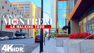 Sherbrooke Quebec Canada 🇨🇦 To Montreal City Driving Tour in 4K [upl. by Rakel648]