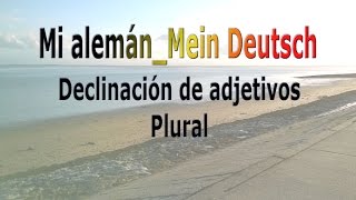 Mi alemán Mein Deutsch Declinación de adjetivos plural [upl. by Nednerb]