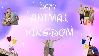 Our WDW Disneymoon Series 2023  Episode Eight  Day 7  Animal Kingdom  Tusker House  Safari [upl. by Atilrac]