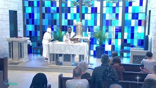 Nativity Catholic Church Live Stream [upl. by Marduk409]