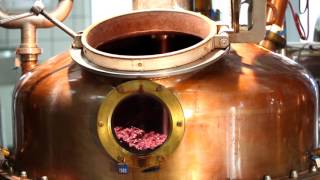 Distillazione vinacce di Amarone  Distilleria Marzadro [upl. by Hoashis]