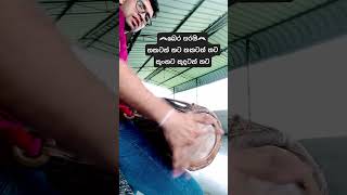 බෙර සරඔ GATABERAWADANAYA bera gatabera srilankandance gataberalesson ගැටබෙරවාදනය [upl. by Kendrah]