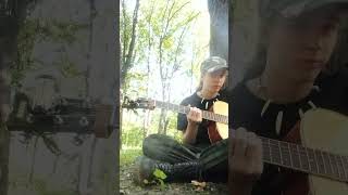 Burzum Dunkelheit forest cover guitar forest music guitarcover blackmetal burzum [upl. by Holly-Anne]