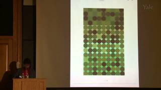 Color in Context Revisiting Albers with Anoka Faruqee [upl. by Hanser541]