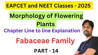 Fabaceae Family  Morphology of Flowering Plants Chapter Line by line Explanation  Part 14 [upl. by Enelra]