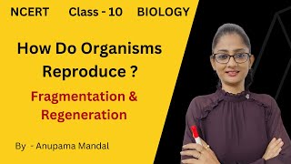 Fragmentation amp Regeneration  How Do Organisms Reproduce Class10 Biology NCERT [upl. by Naaman]